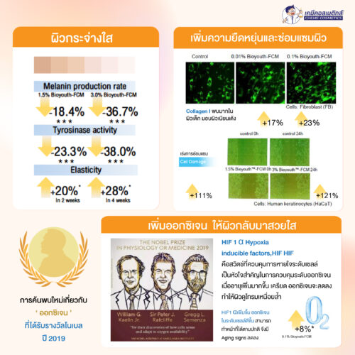 Bioyouth FCM (Cordyceps Militaris Ferment Filtrate) สารสกัดหมักเห็ดถั่งเช่าสีทอง ช่วยต่อต้านริ้วรอยและความชรา เพิ่มการสังเคราะห์คอลลาเจน ความยืดหยุ่นของผิว และกระจ่างใส - Image 4