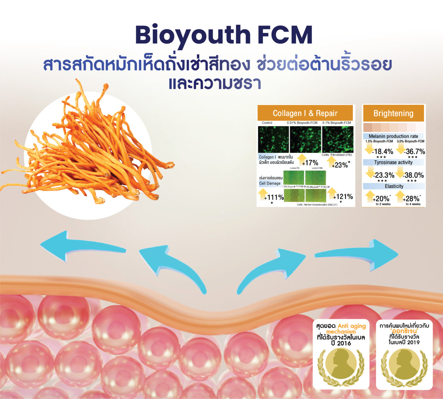 Bioyouth FCM