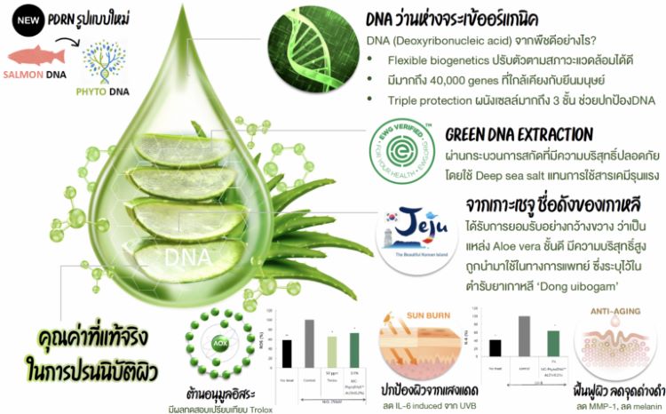 mc-phyto dna alov