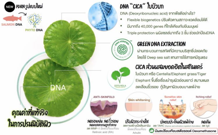 mc-phyto dna centella (2)