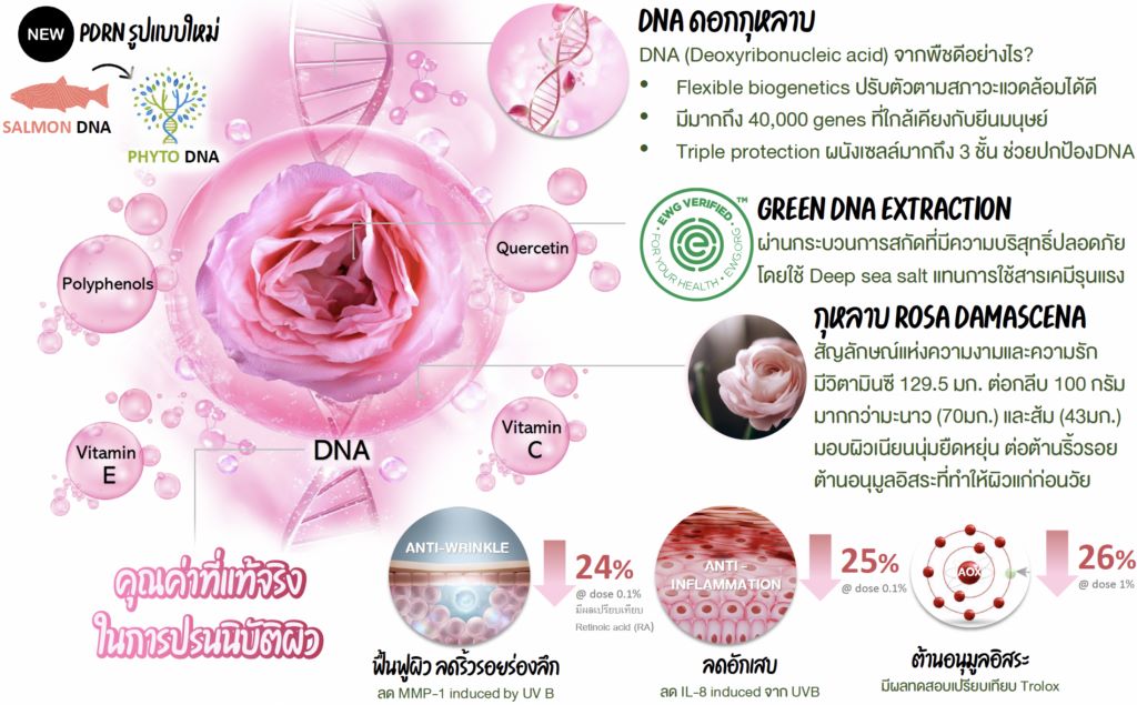 mc-phyto dna rose (2)