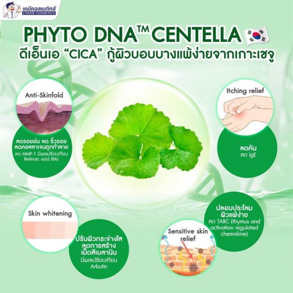 phyto dna centella