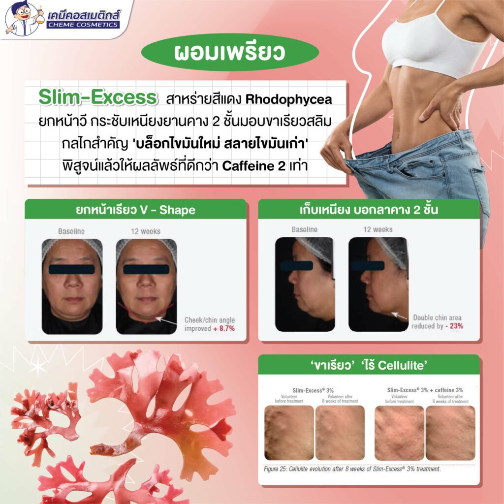 Slim-excess สารสกัดสาหร่ายสีแดง