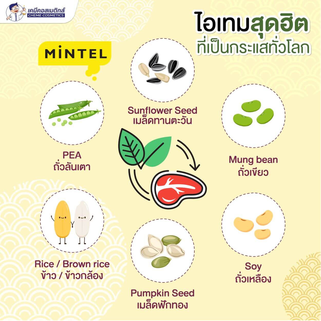โปรตีนจากพืช คุณประโยชน์ครบถ้วน