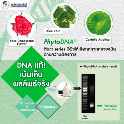 mc phyto dna rose (4)