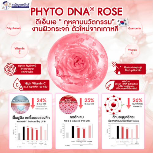 Alternative view of MC-Phyto DNA Rose สารสกัด Vegan PDRN จากกุหลาบดามาสก์ สัญลักษณ์แห่งความงาม ลดริ้วรอยลึก ผิวยืดหยุ่นเนียนนุ่ม