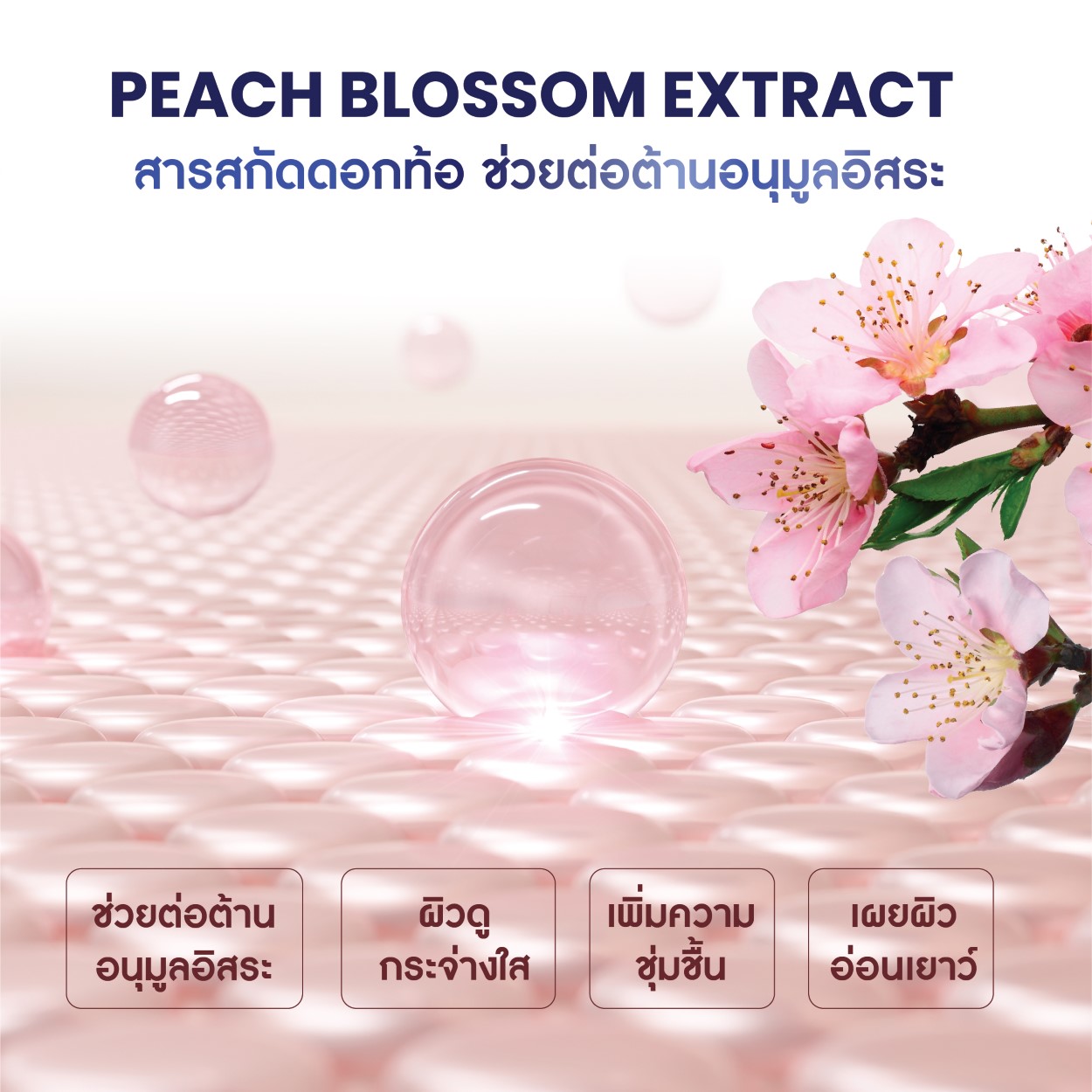 สารสกัดเพื่อผิวกระจ่างใส 1