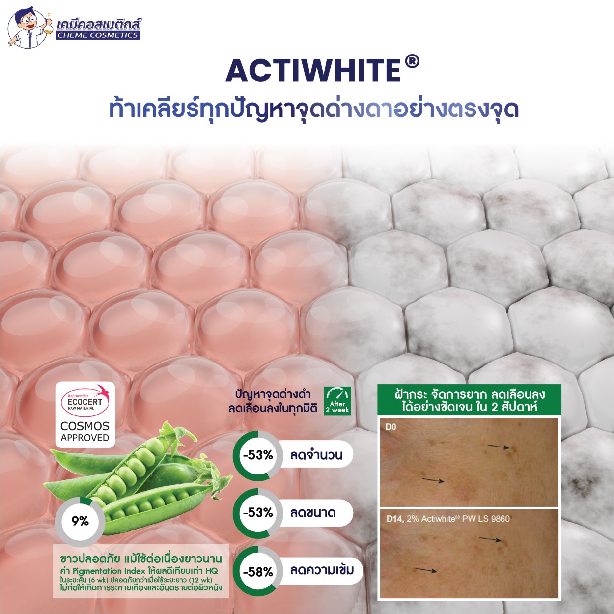 สารสกัดเพื่อผิวกระจ่างใส 4