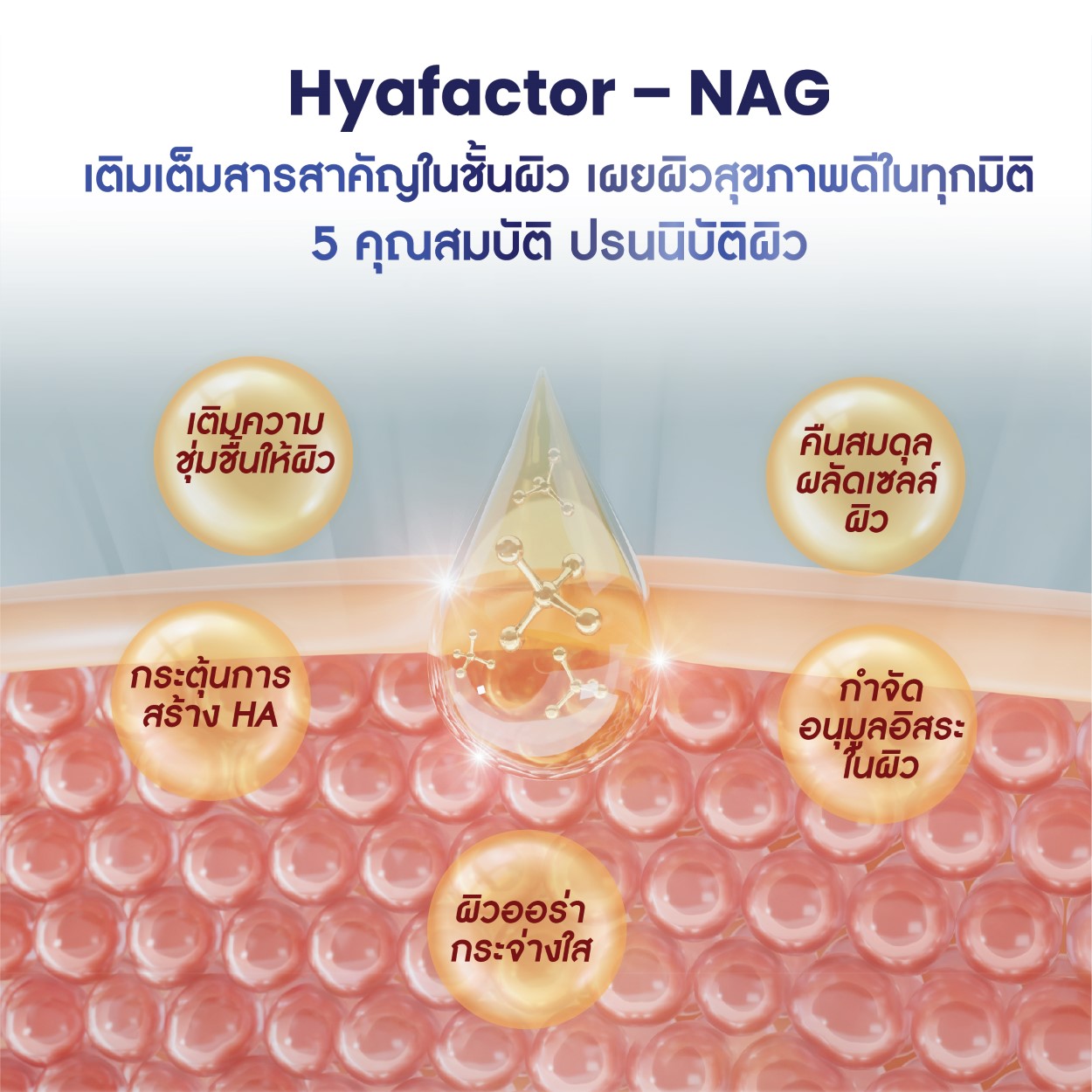 สารสกัดเพื่อผิวกระจ่างใส 3