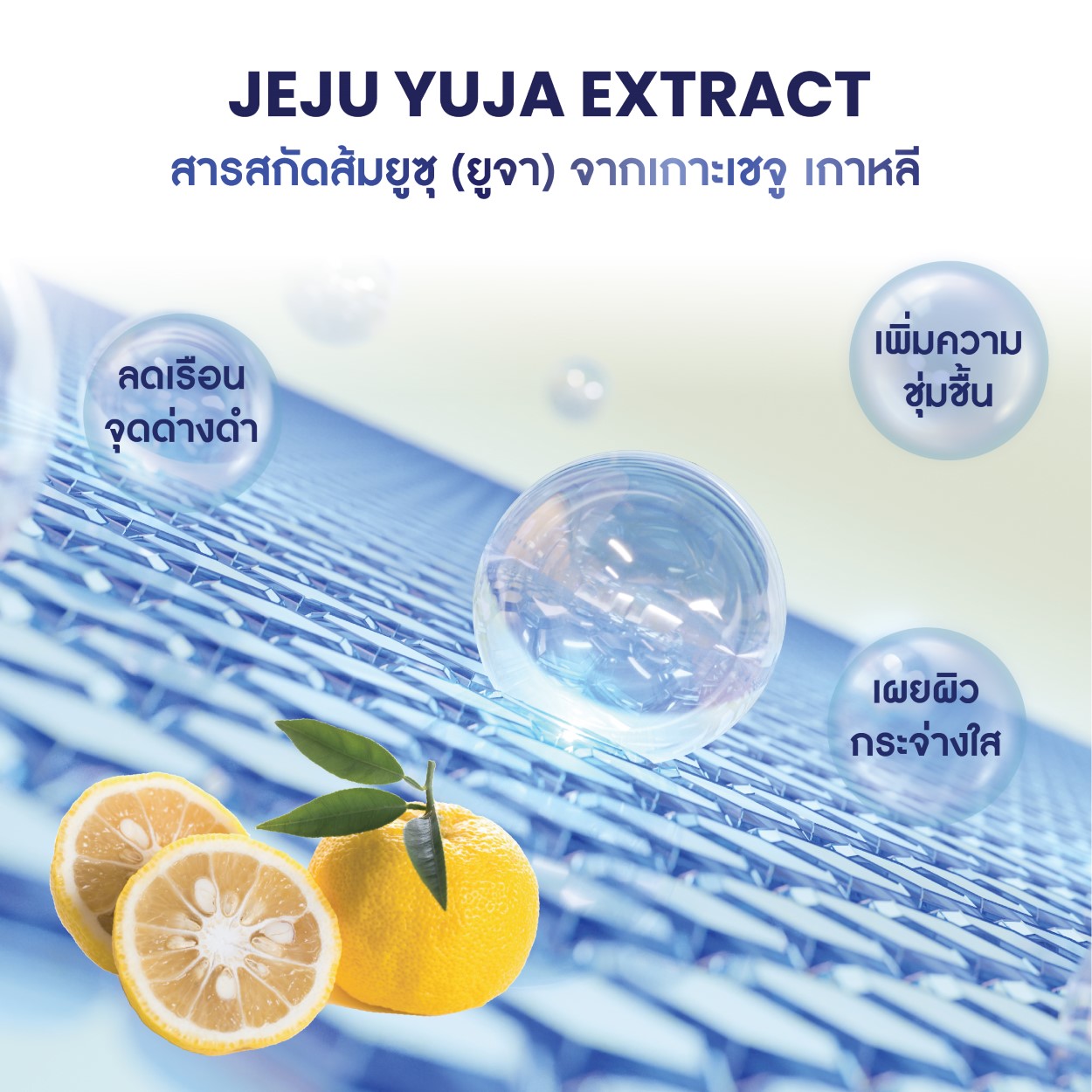สารสกัดเพื่อผิวกระจ่างใส 2