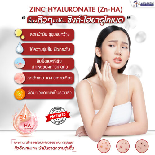 Zinc Hyaluronate (Zn-HA)  ซิงค์-ไฮยารูโลเนต รักษาสมดุลของไขมันตามรูขุมขน ช่วยให้ความชุ่มชื้น ซ่อมแซม และบำรุงผิว ป้องกันและลดการอักเสบของสิว - Image 2