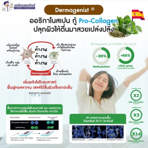 Alternative view of Dermagenist PW BC10004 สารสกัดออริกาโนเพิ่มพลังไฟโบรบลาสต์ ฟื้นฟูคอลลาเจนและเซลล์ใต้ชั้นผิว ตื่นมาสวยผิวเปล่งปลั่ง