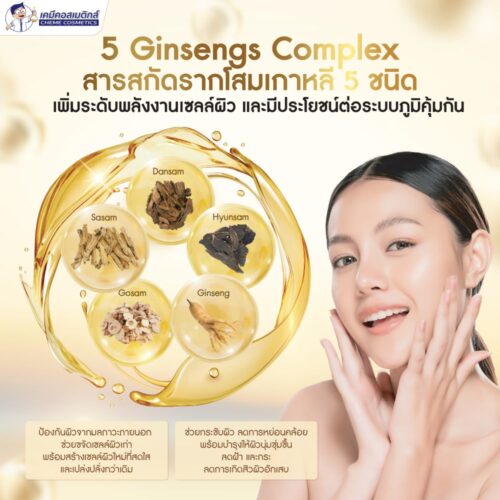 Alternative view of 5 Ginsengs Complex สารสกัดรากโสมเกาหลี 5 ชนิด มีประโยชน์ต่อระบบภูมิคุ้มกันและเพิ่มระดับพลังงานเซลล์ผิว