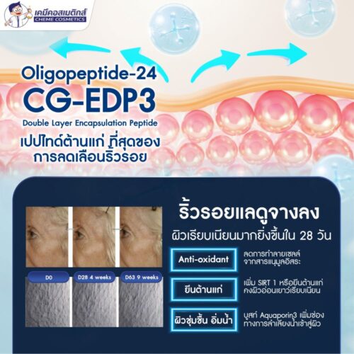 CG-EDP3 (Oligopeptide-24) เปปไทด์สิทธิบัตรเฉพาะ ฟื้นจากความชรา ริ้วรอยจางลงใน 28 วัน คืนความอ่อนเยาว์ให้ผิวกระชับ ยืดหยุ่นเนียนเด้ง ดูเรียบเนียน ซึมลึกเข้าสู่ผิวได้ดียิ่งขึ้นด้วยเทคโนโลยี Double Layer Encapsulation - Image 2