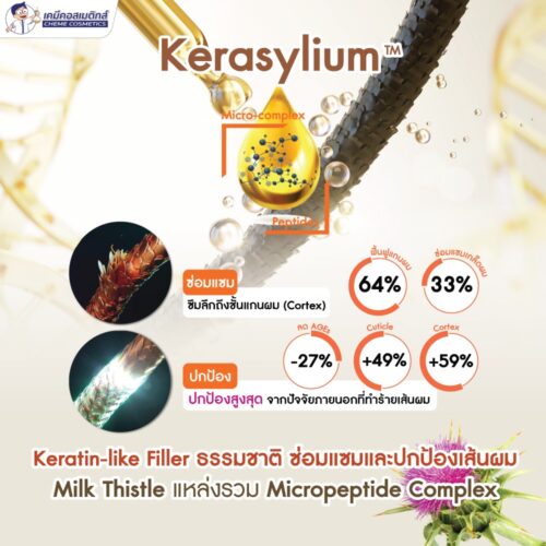 Alternative view of Kerasylium BC10195 สารสกัดต้นมิลค์ทิสเซิล Milk Thistle จากฝรั่งเศส ซ่อมแซมและปกป้องเส้นผมที่แตกหักและอ่อนแอ เสริมสร้างเคราตินทำให้ผมแข็งแรงขึ้น เป็นเงางามและนุ่มขึ้น ช่วยรักษาสีผมให้ยาวนานขึ้น