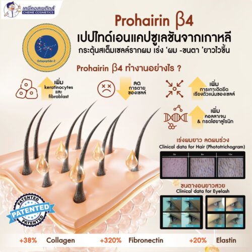 Alternative view of Prohairin β4 (Octapeptide-2) เปปไทด์สิทธิบัตร กระตุ้นการเจริญเติบโตของเส้นผมและขนตาให้ยาวไวขึ้น ลึกถึงระดับสเต็มเซลล์รากผม (Stem cells of hair follicle) อุดมไปด้วย amino acids มากถึง 8 ชนิด พร้อมปรับวงจรเส้นผมโดยกระตุ้นและคงระยะเวลาของเซลล์ผมที่อยู่ในระยะเจริญเติบโต (Anagen Phase) ให้ยาวนานขึ้น ซึมลึกเข้าสู่ผิวได้ดียิ่งขึ้นด้วยเทคโนโลยี Double Layer Encapsulation