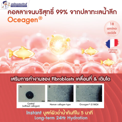 Alternative view of Oceagen LS 8424 (Marine Collagen) สารสกัดคอลลาเจนเข้มข้นจากทะเลน้ำลึก สำหรับผลิตภัณฑ์บำรุงผิว ต่อต้านริ้วรอย เติมความชุ่มชื้น