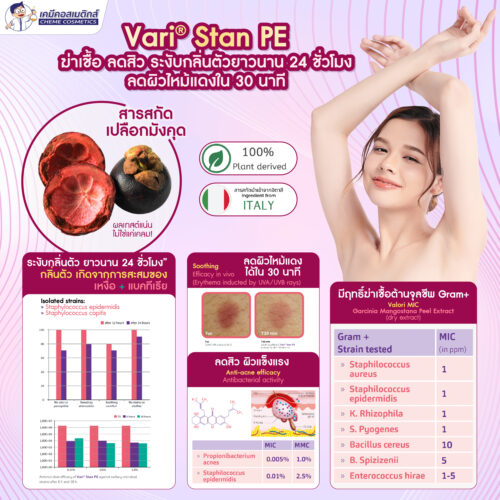 Alternative view of Vari Stan PE (Garcinia Mangostana Peel Extract) สารสกัดเปลือกมังคุดจากธรรมชาติ 100% ต้านแบคทีเรีย ลดกลิ่นกาย รักษาสิว บรรเทาการอักเสบอย่างรวดเร็ว ปลอดภัย ไม่ระคายเคือง