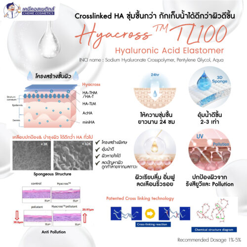 Alternative view of Hyacross TL100 (Sodium Hyaluronate Crosspolymer) กรดไฮยาลูโรนิกอีลาสโตเมอร์ ปกป้องผิวจากมลภาวะพร้อมให้ความชุ่มชื้นยาวนาน 24