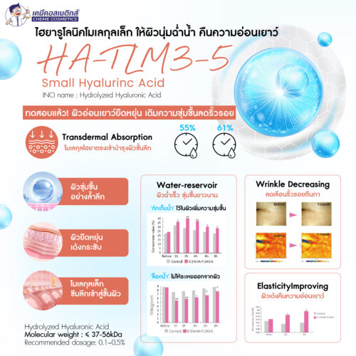 Alternative view of HA-TLM 3-5 (Hydrolyzed Hyaluronic Acid) ไฮยาลูโรนิค แอซิดสายโมเลกุลสั้นพิเศษ (MW 37-56 kDa) เพื่อผิวอ่อนเยาว์ เติมเต็มความชุ่มชื้น เพิ่มความยืดหยุ่น ลดริ้วรอย