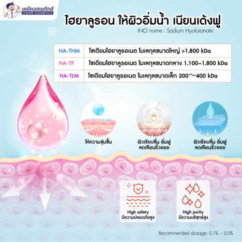 Alternative view of HA-TLM 20-40 (Sodium Hyaluronate) โซเดียมไฮยาลูรอเนต โมเลกุลขนาดเล็ก 200～400 kDa