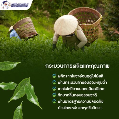 Pure Matcha Green Tea Powder ผงชาเขียวมัทฉะ (เกรด A) จากชาเขียวบริสุทธิ์ 100% อัดแน่นด้วยสารต้านอนุมูลอิสระ เพื่อสุขภาพ - Image 4