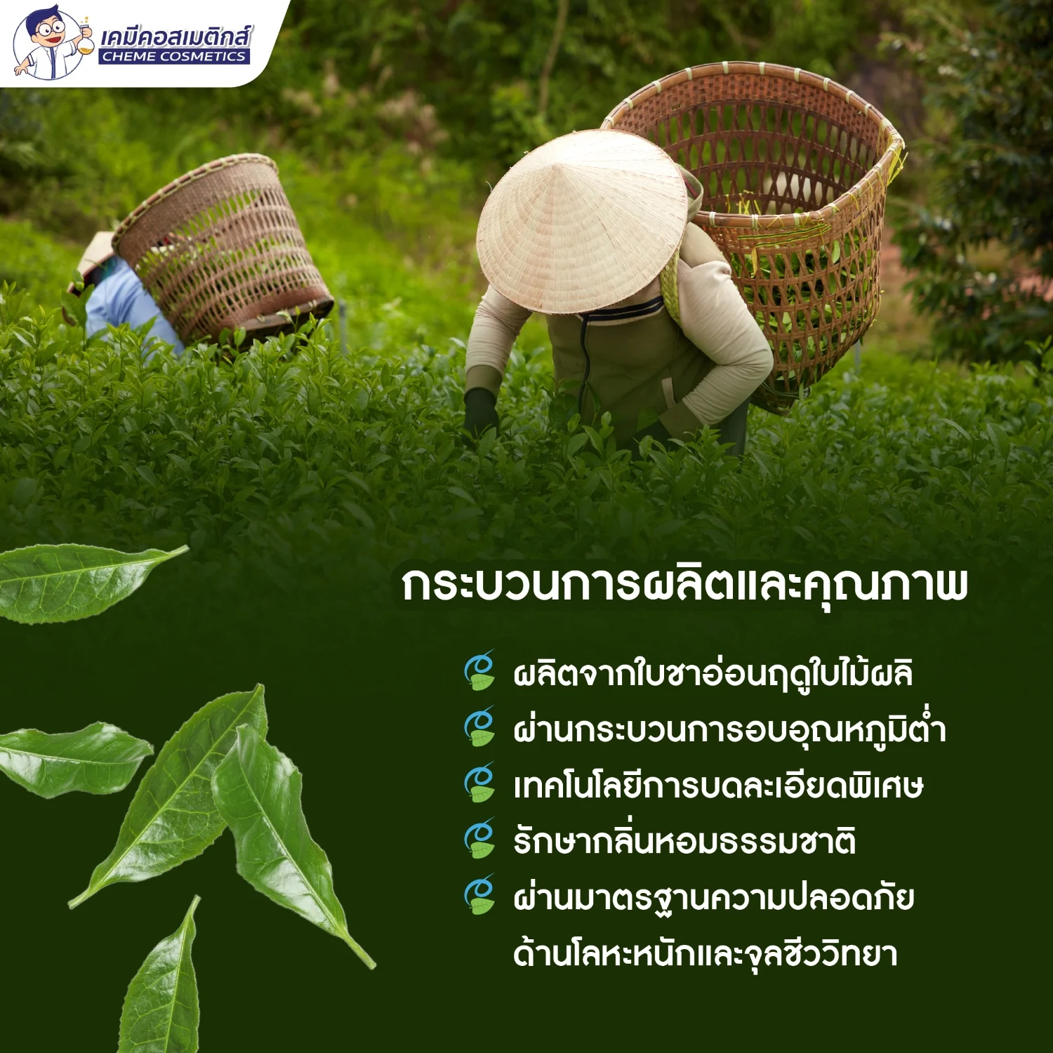 Pure Matcha Green Tea Powder ผงชาเขียวมัทฉะ (เกรด A) จากชาเขียวบริสุทธิ์ 100% อัดแน่นด้วยสารต้านอนุมูลอิสระ เพื่อสุขภาพ - Image 4