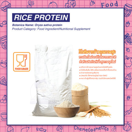 Rice Protein โปรตีนจากข้าวคุณภาพสูง ทางเลือกใหม่ของโปรตีนจากธรรมชาติ สำหรับผลิตภัณฑ์เพื่อสุขภาพยุคใหม่