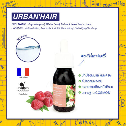 URBAN'HAIR - Premium Anti-Pollution Shield For Hair & Scalp สารสกัดใบราสเบอร์รี่ ปกป้องผมและหนังศีรษะจากมลพิษเมือง คืนความเงางาม ลดระคายเคืองหนังศีรษะ มาตรฐาน COSMOS