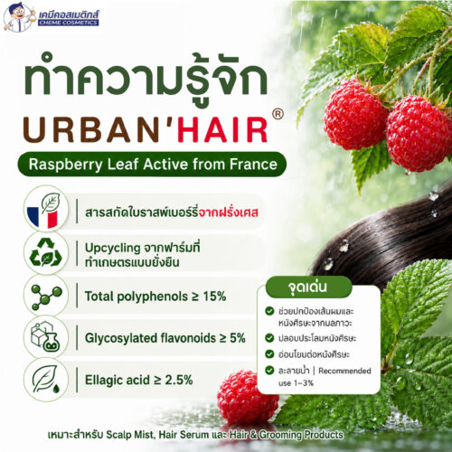 URBAN'HAIR - Premium Anti-Pollution Shield For Hair & Scalp สารสกัดใบราสเบอร์รี่ ปกป้องผมและหนังศีรษะจากมลพิษเมือง คืนความเงางาม ลดระคายเคืองหนังศีรษะ มาตรฐาน COSMOS - Image 3
