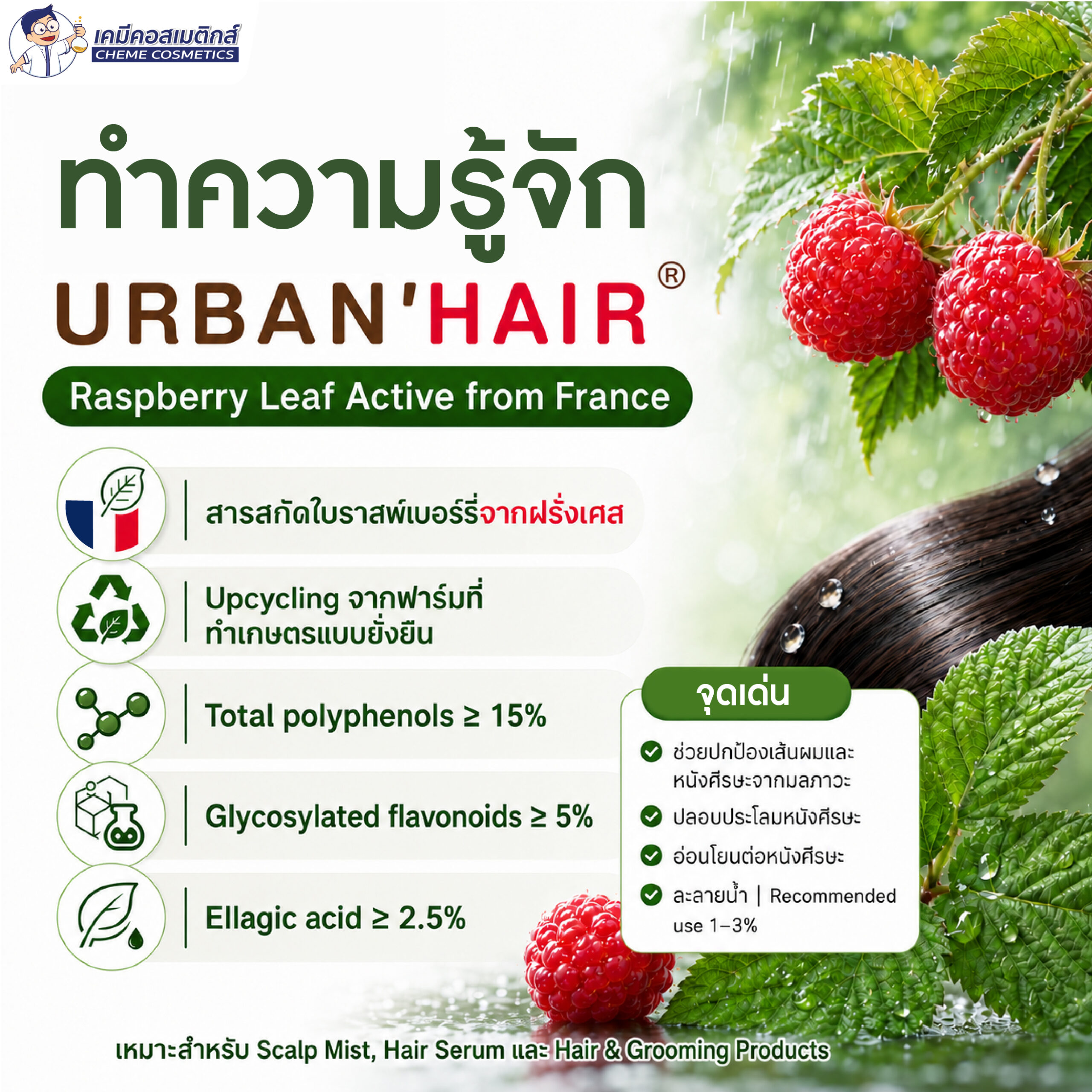 URBAN'HAIR - Premium Anti-Pollution Shield For Hair & Scalp สารสกัดใบราสเบอร์รี่ ปกป้องผมและหนังศีรษะจากมลพิษเมือง คืนความเงางาม ลดระคายเคืองหนังศีรษะ มาตรฐาน COSMOS - Image 3