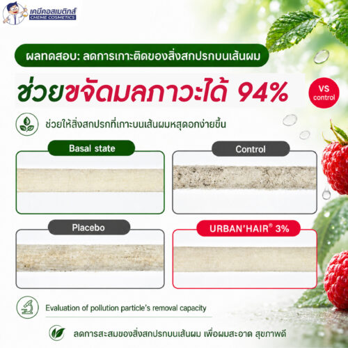 URBAN'HAIR - Premium Anti-Pollution Shield For Hair & Scalp สารสกัดใบราสเบอร์รี่ ปกป้องผมและหนังศีรษะจากมลพิษเมือง คืนความเงางาม ลดระคายเคืองหนังศีรษะ มาตรฐาน COSMOS - Image 6