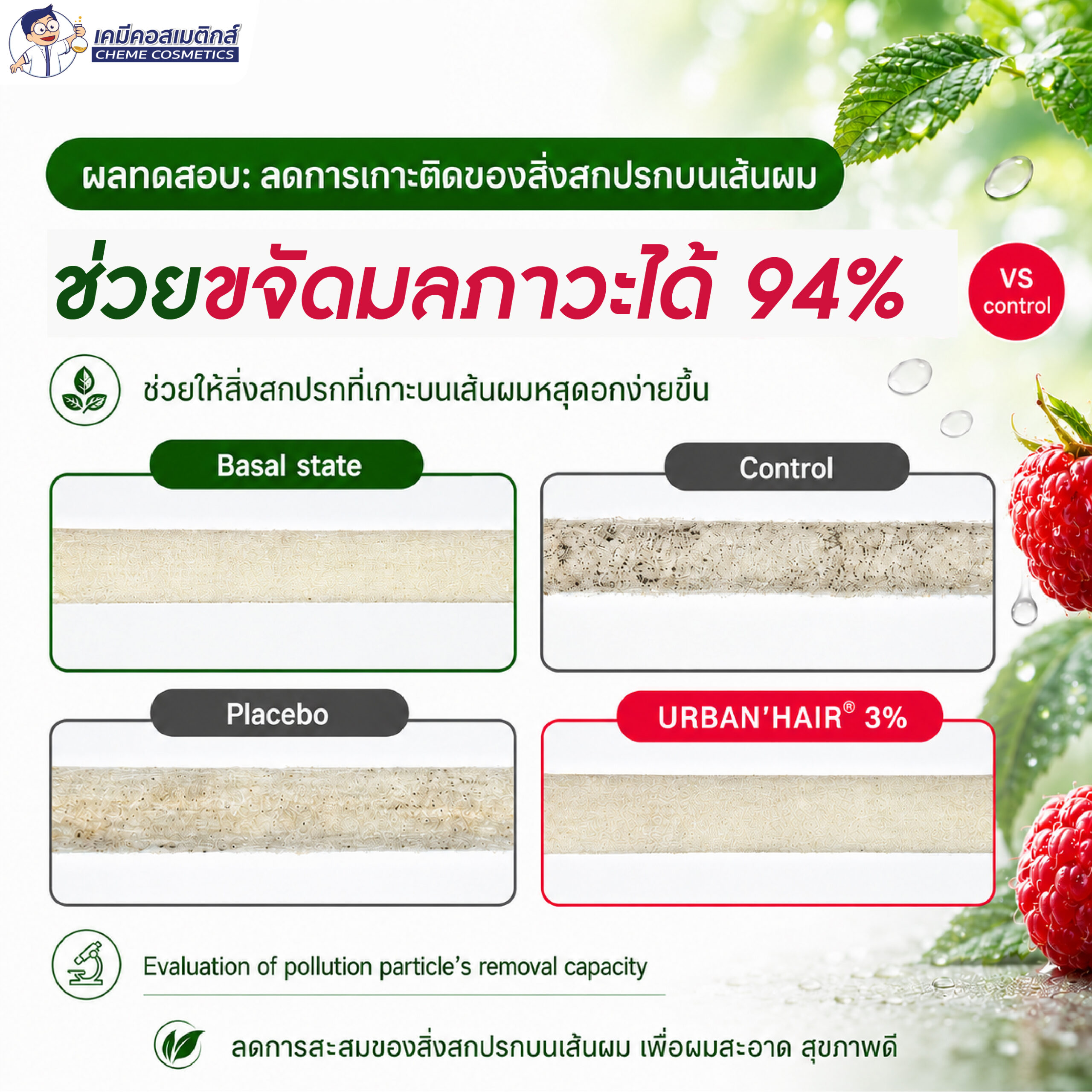 URBAN'HAIR - Premium Anti-Pollution Shield For Hair & Scalp สารสกัดใบราสเบอร์รี่ ปกป้องผมและหนังศีรษะจากมลพิษเมือง คืนความเงางาม ลดระคายเคืองหนังศีรษะ มาตรฐาน COSMOS - Image 6
