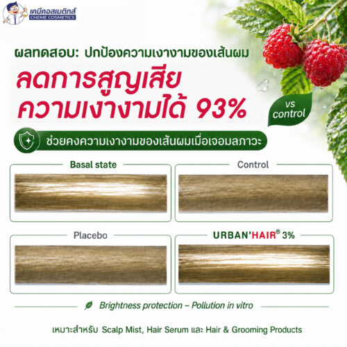 URBAN'HAIR - Premium Anti-Pollution Shield For Hair & Scalp สารสกัดใบราสเบอร์รี่ ปกป้องผมและหนังศีรษะจากมลพิษเมือง คืนความเงางาม ลดระคายเคืองหนังศีรษะ มาตรฐาน COSMOS - Image 7