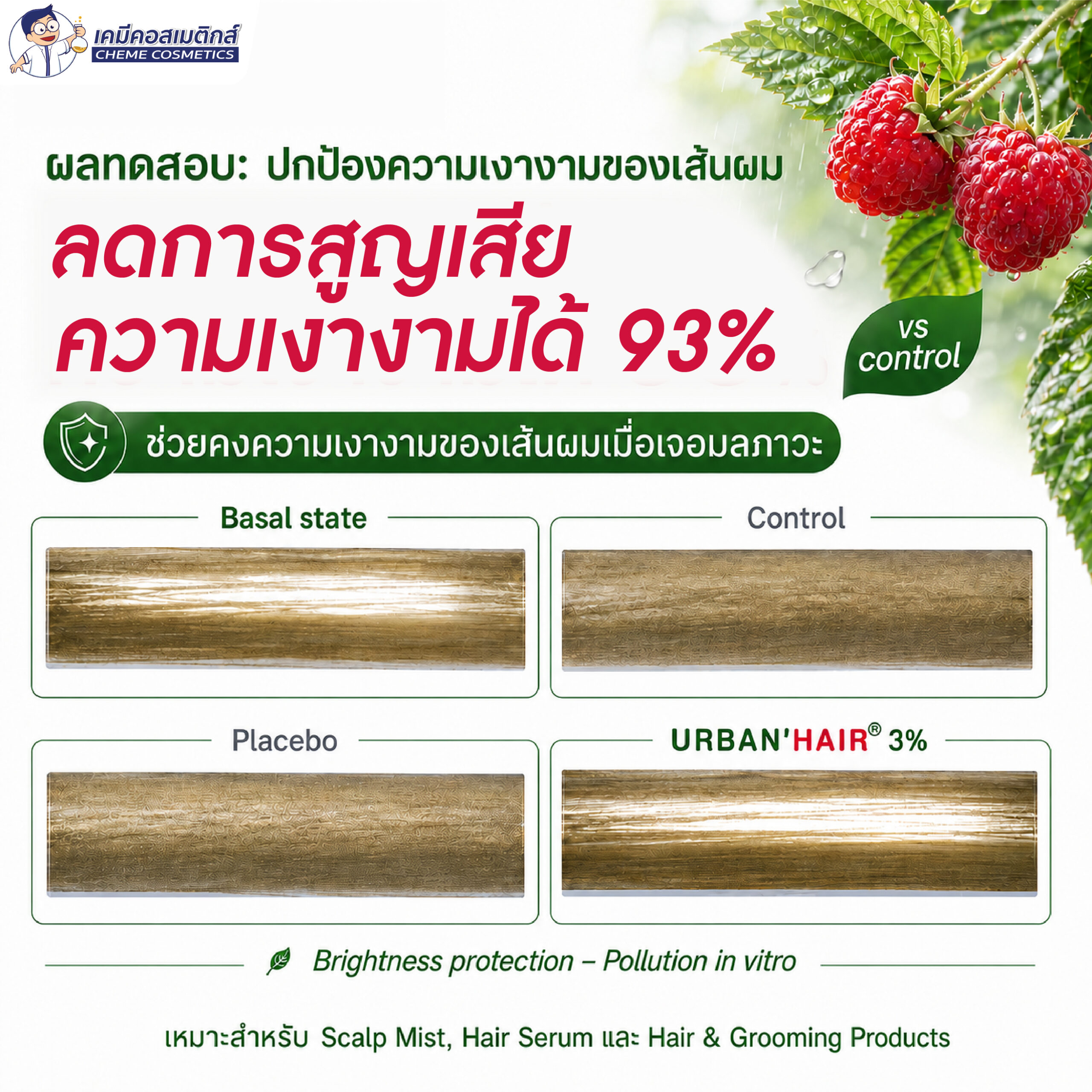 URBAN'HAIR - Premium Anti-Pollution Shield For Hair & Scalp สารสกัดใบราสเบอร์รี่ ปกป้องผมและหนังศีรษะจากมลพิษเมือง คืนความเงางาม ลดระคายเคืองหนังศีรษะ มาตรฐาน COSMOS - Image 7