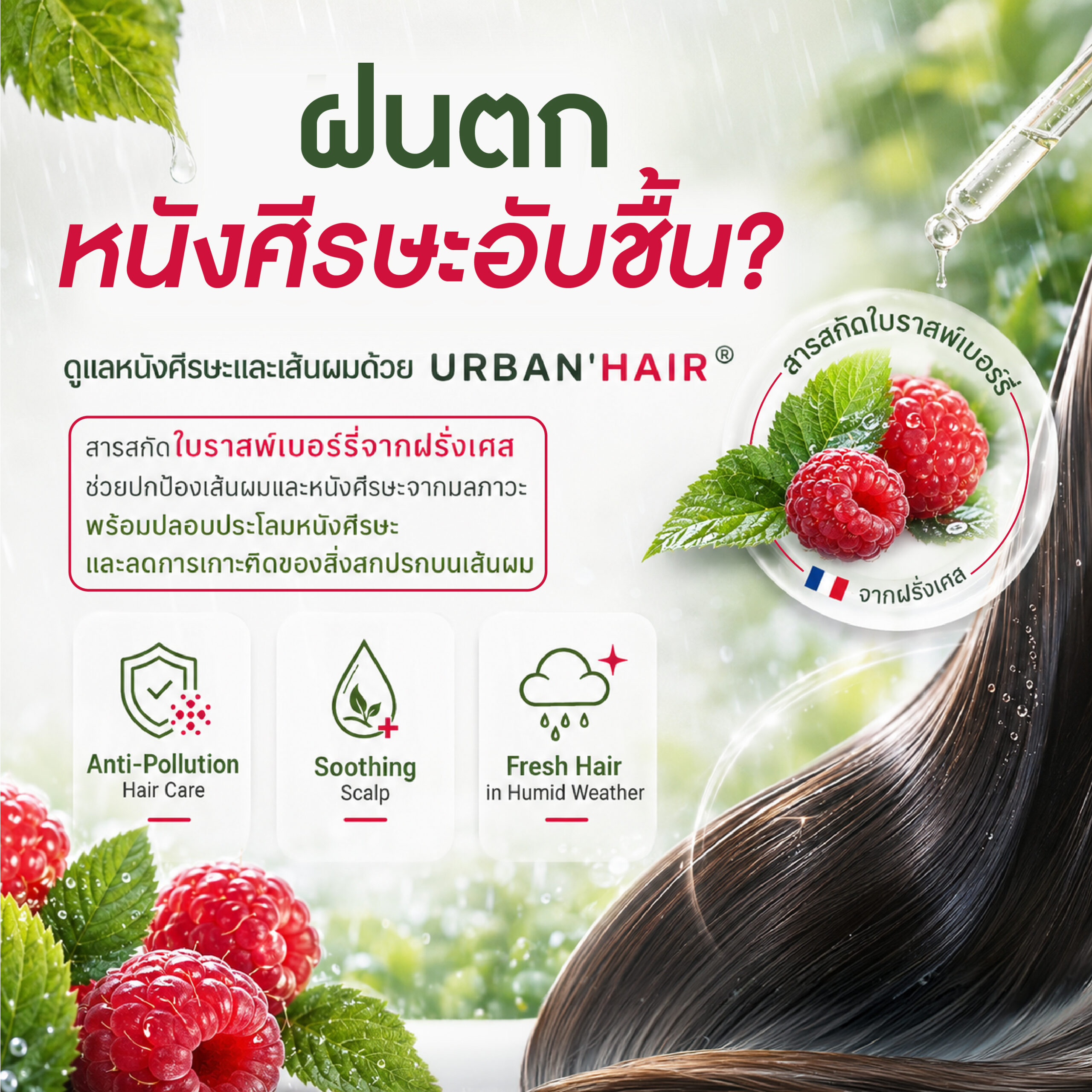 URBAN'HAIR - Premium Anti-Pollution Shield For Hair & Scalp สารสกัดใบราสเบอร์รี่ ปกป้องผมและหนังศีรษะจากมลพิษเมือง คืนความเงางาม ลดระคายเคืองหนังศีรษะ มาตรฐาน COSMOS - Image 2