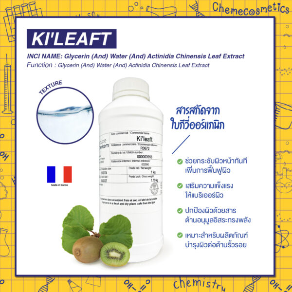 KI'LEAFT สารสกัดจากใบกีวี่ออร์แกนิก ช่วยกระชับผิวหน้าทันที เพิ่มการฟื้นฟูผิว เสริมความแข็งแรงให้แบริเออร์ผิว ปกป้องผิวด้วยสารต้านอนุมูลอิสระทรงพลัง เหมาะสำหรับผลิตภัณฑ์บำรุงผิวต่อต้านริ้วรอยระดับพรีเมียม
