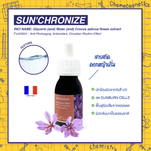 SUN'CHRONIZE (Saffron Flower Extract) สารสกัดดอกหญ้าฝรั่น ปกป้องผิวจากรังสี UV ลด SUNBURN CELLS ฟื้นฟูผิวเสียจากแสงแดด เรียงลำดับจังหวะผิวให้กลับมาเป็นธรรมชาติ