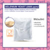Selenium Yeast (2000 ppm) ซีลีเนียมยีสต์ เสริมภูมิคุ้มกัน ต้านอนุมูลอิสระ ลดความเสี่ยงโรคมะเร็ง