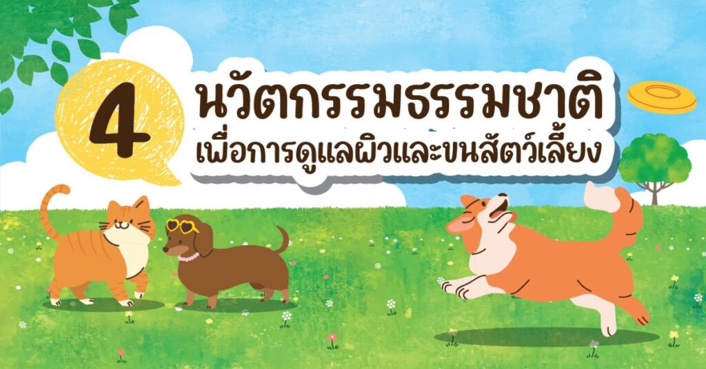 🐾 4 นวัตกรรมธรรมชาติ เพื่อการดูแลผิวและขนสัตว์เลี้ยงอย่างอ่อนโยน