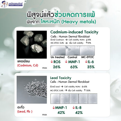 MC-DTOC (0.25%) สารสกัดสมุนไพรเกาหลีสูตรโบราณจากตำรายา "แฮด็อกทัง” ดีท็อกซ์ผิวจากมลภาวะ ปกป้องผิวจากโลหะหนัก ฝุ่น PM2.5 สู่ผิวสวยแข็งแรง ปลอดภัยจากมลภาวะ - Image 4