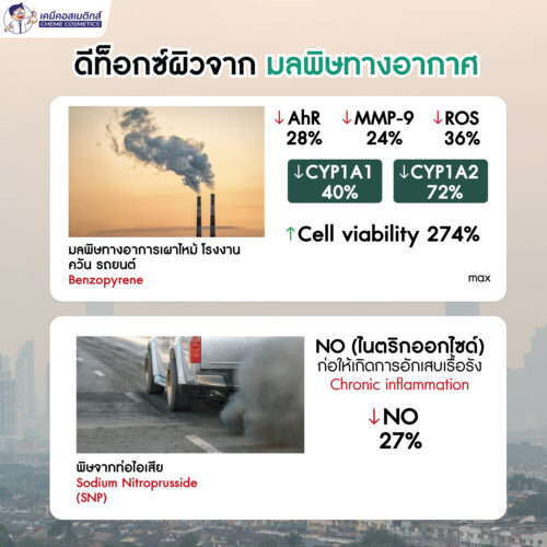 MC-DTOC (0.25%) สารสกัดสมุนไพรเกาหลีสูตรโบราณจากตำรายา "แฮด็อกทัง” ดีท็อกซ์ผิวจากมลภาวะ ปกป้องผิวจากโลหะหนัก ฝุ่น PM2.5 สู่ผิวสวยแข็งแรง ปลอดภัยจากมลภาวะ - Image 5