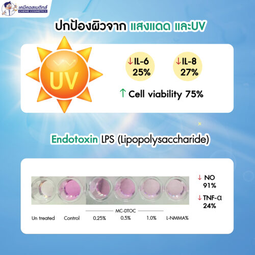 MC-DTOC (0.25%) สารสกัดสมุนไพรเกาหลีสูตรโบราณจากตำรายา "แฮด็อกทัง” ดีท็อกซ์ผิวจากมลภาวะ ปกป้องผิวจากโลหะหนัก ฝุ่น PM2.5 สู่ผิวสวยแข็งแรง ปลอดภัยจากมลภาวะ - Image 6