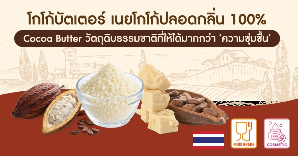 🍫 Cocoa Butter ไทย 100% วัตถุดิบธรรมชาติที่ให้ได้มากกว่า ‘ความชุ่มชื้น’