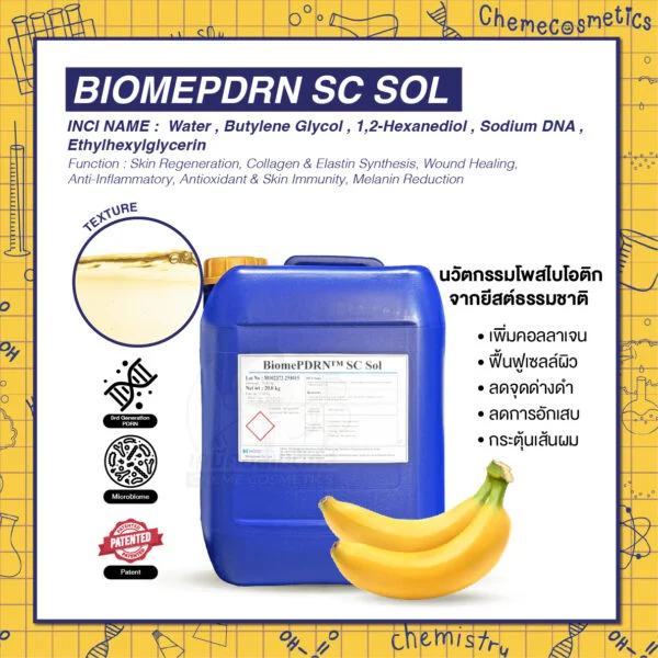BiomePDRN SC Sol ไมโครไบโอม พีดีอาร์เอ็น (Microbiome PDRN) นวัตกรรมโพสไบโอติก (Postbiotic) จากยีสต์ธรรมชาติ เพิ่มคอลลาเจน, ฟื้นฟูเซลล์ผิว, ลดจุดด่างดำ, ลดการอักเสบ และกระตุ้นเส้นผม