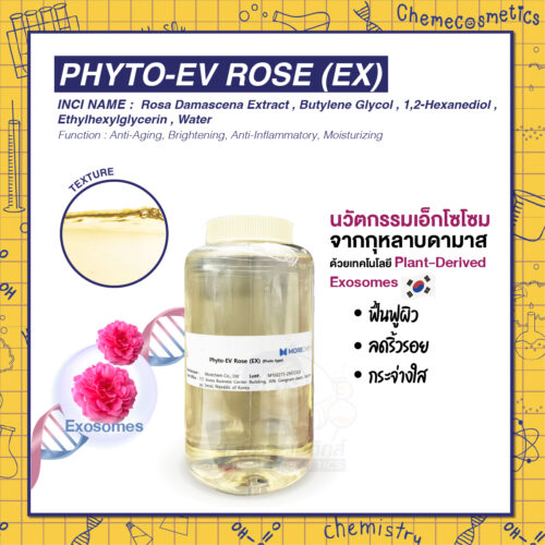 Phyto-EV Rose (EX) นวัตกรรมเอ็กโซโซมจากกุหลาบดามาสก์ เพื่อผิวสวยเปล่งประกายด้วยพลังแห่งธรรมชาติ ฟื้นฟูผิว ลดริ้วรอย กระจ่างใส ด้วยเทคโนโลยี Plant-Derived Exosomes ส่งตรงสู่เซลล์ผิว