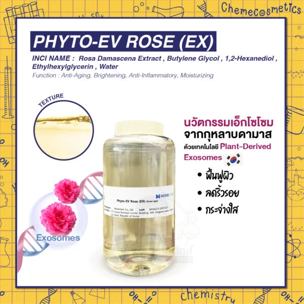 Phyto-EV Rose (EX) นวัตกรรมเอ็กโซโซมจากกุหลาบดามาสก์ เพื่อผิวสวยเปล่งประกายด้วยพลังแห่งธรรมชาติ ฟื้นฟูผิว ลดริ้วรอย กระจ่างใส ด้วยเทคโนโลยี Plant-Derived Exosomes ส่งตรงสู่เซลล์ผิว