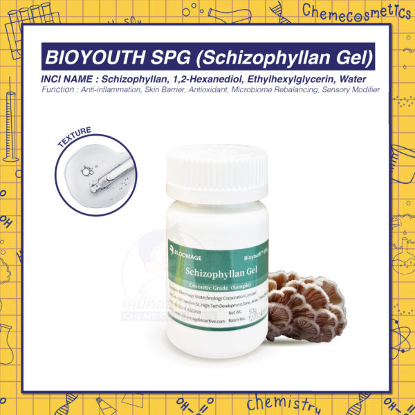 Bioyouth SPG (Schizophyllan Gel) สารสกัดชิโซฟิลแลน แบตากลูแคนจากเห็ดป่าหิมาลัย เสริมภูมิคุ้มกันผิว ลดการอักเสบ ฟื้นฟูสภาพผิวเสียหาย เพื่อผิวแข็งแรง สุขภาพดี กระจ่างใส