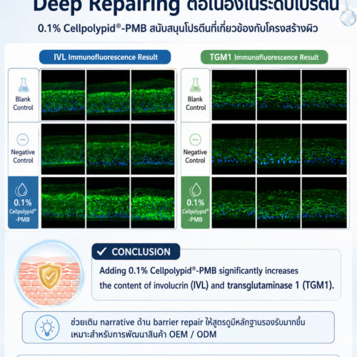 Cellpolypid-PMB 8100E (Polyquaternium-51) ระบบกักเก็บและปล่อยความชุ่มชื้นอย่างต่อเนื่อง ยาวนานกว่า HA โครงสร้างเลียนแบบเยื่อหุ้มเซลล์ผิว ซ่อม Barrier ลดการระคายเคือง - Image 6