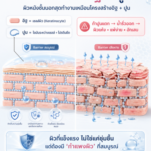 Alternative view of Cellpolypid-PMB 8100E (Polyquaternium-51) ระบบกักเก็บและปล่อยความชุ่มชื้นอย่างต่อเนื่อง ยาวนานกว่า HA โครงสร้างเลียนแบบเยื่อหุ้มเซลล์ผิว ซ่อม Barrier ลดการระคายเคือง